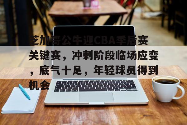 爱游戏-芝加哥公牛迎CBA季后赛关键赛,冲刺阶段临场应变,底气十足,年轻球员得到机会的简单介绍